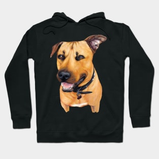 Kelpie Puppy drawing Hoodie